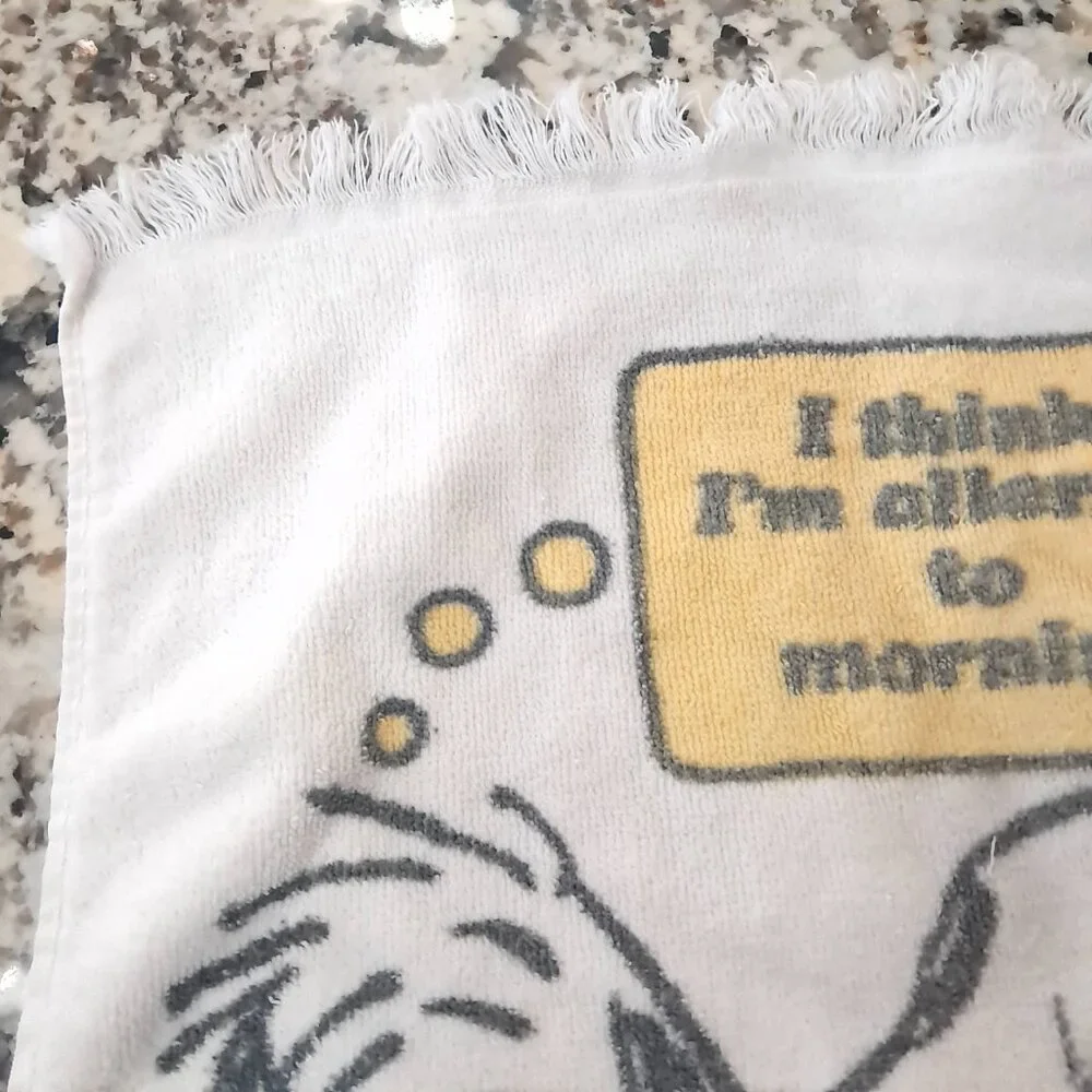 Vintage‎ Snoopy Peanuts hand towel fringe on dog house Mornings Tastemakers 1971
